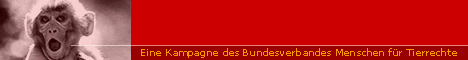 Affenversuche stoppen